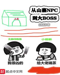 从山寨npc到大BOSS